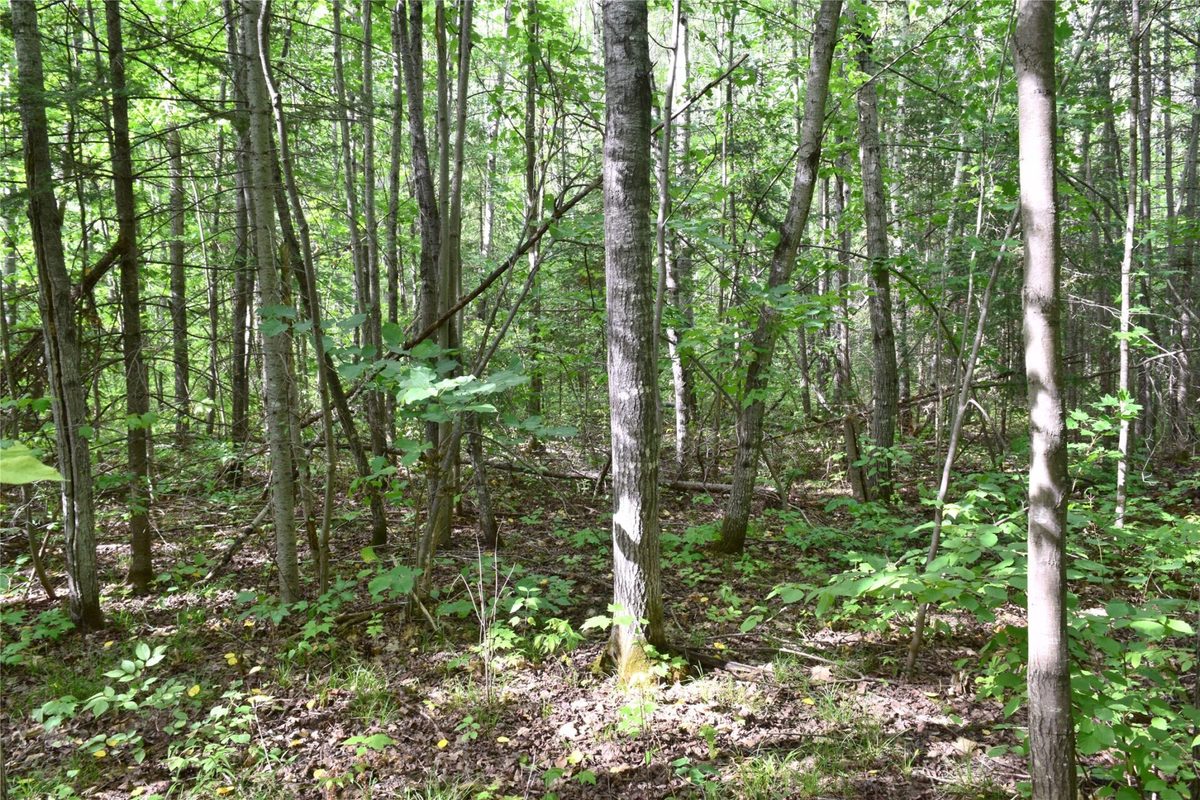26615 Star Route Road, Bayfield WI 54814 - Land house for sale - MLS #1604800 - image38