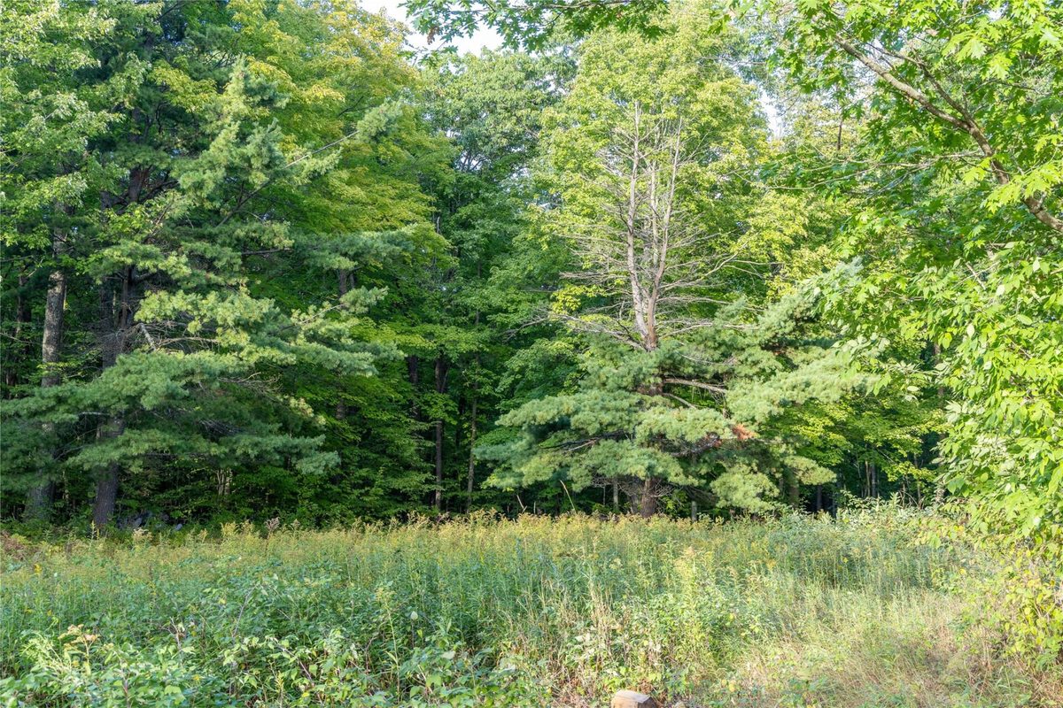 38.2 Acres Vierck Lane, Exeland WI 54835 - Land house for sale - MLS #1605286 - image23