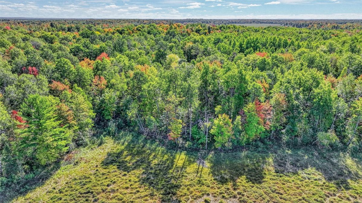 8087N Universal Drive, Winter WI 54896 - Land house for sale - MLS #1605404 - image15