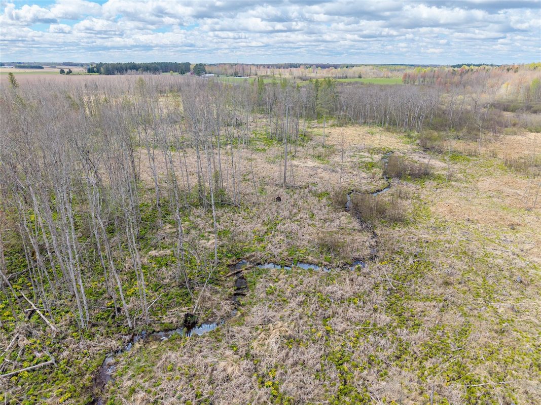 40 Acres Anderson Road & School Road, Glen Flora WI 54526 - Land house for sale - MLS #1601150 - image9