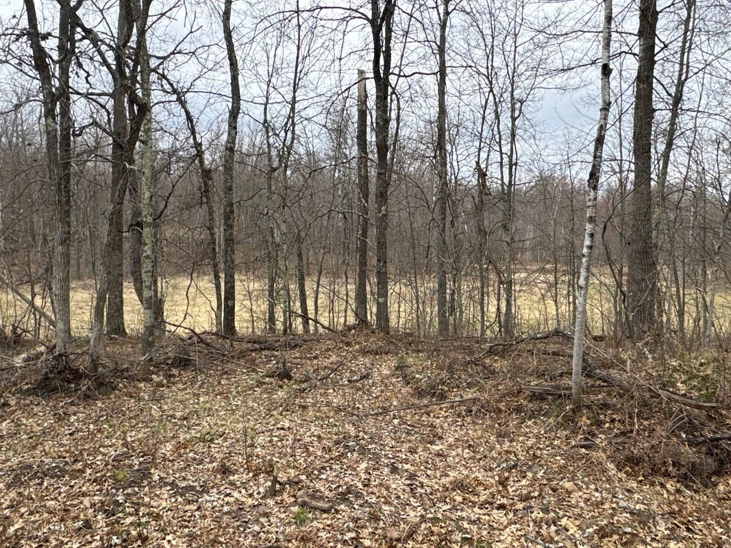 TBD Barrett Trail, Trego WI 54888 - Land house for sale - MLS #1600463 - image20