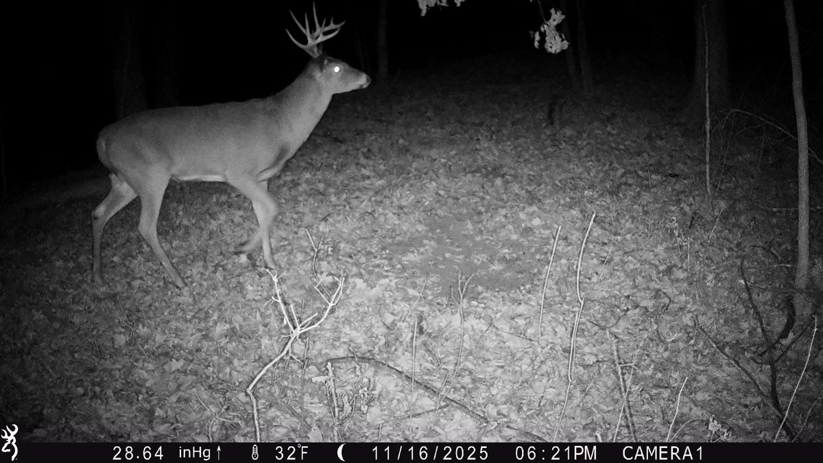 TBD 10 Acres Antler Lake Drive Milltown WI 54858 — photo 31