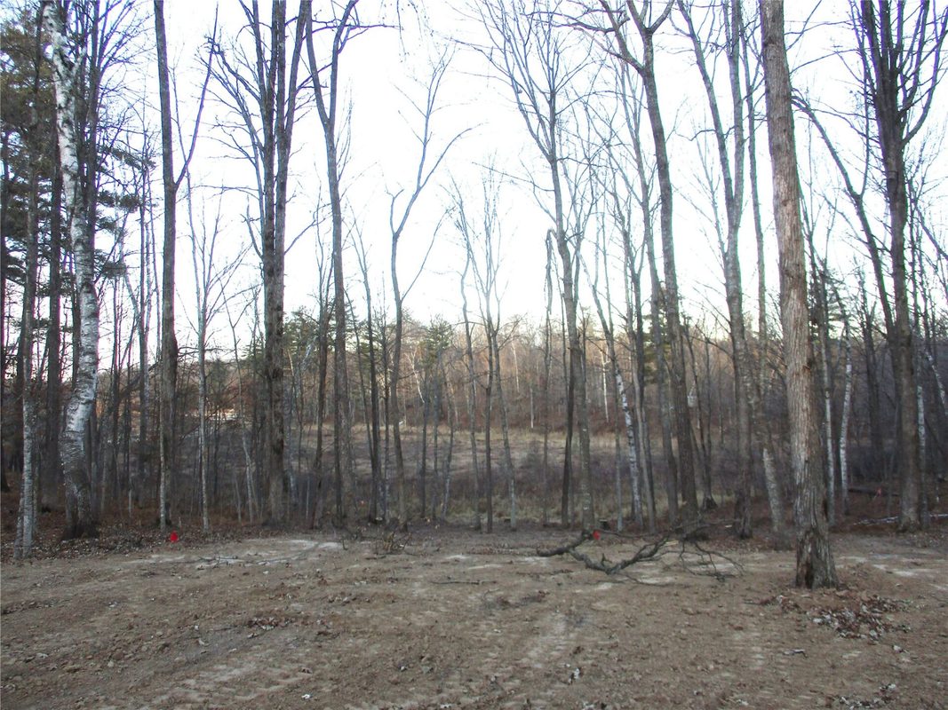 2982 MAPLE WAY / 28 7/16 Avenue, Birchwood WI 54817 - Land house for sale - MLS #1601859 - image6
