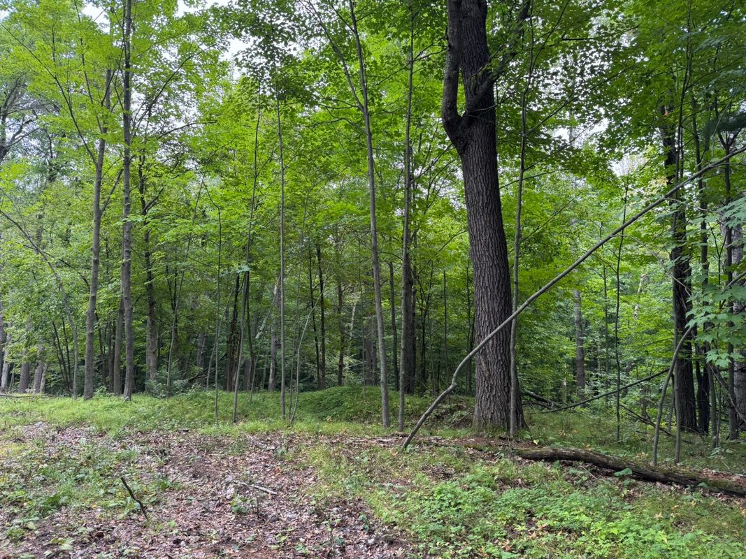 N8004 Cty Rd A, Spooner WI 54801 - Land house for sale - MLS #1604449 - image7