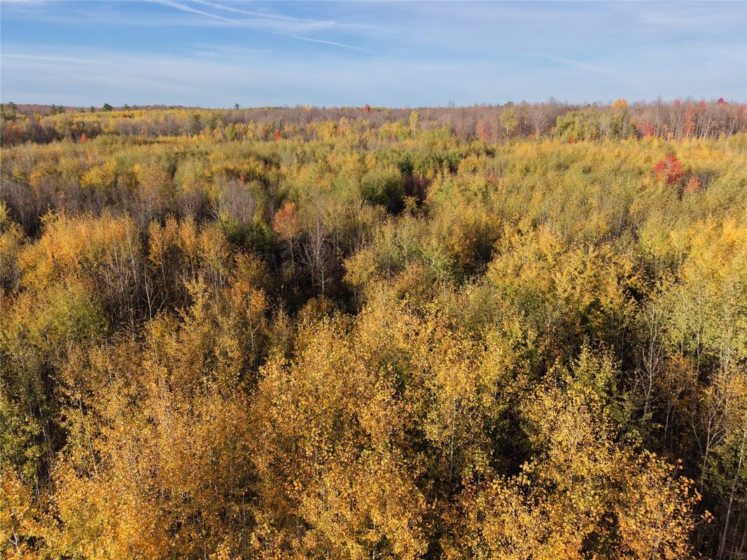 On County Highway W, Winter WI 54896 - Land house for sale - MLS #1605419 - image23