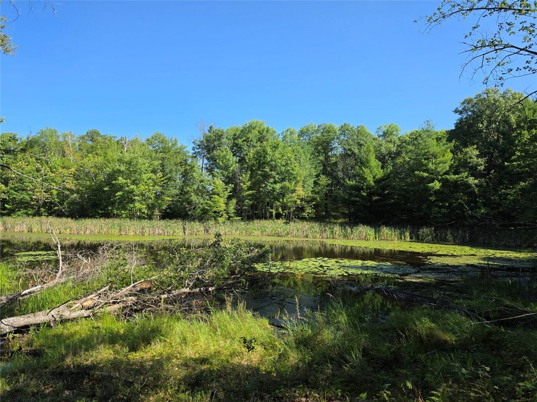 27696 295th (Lot 15) Street, Holcombe WI 54745 - Land house for sale - MLS #1604256 - image10