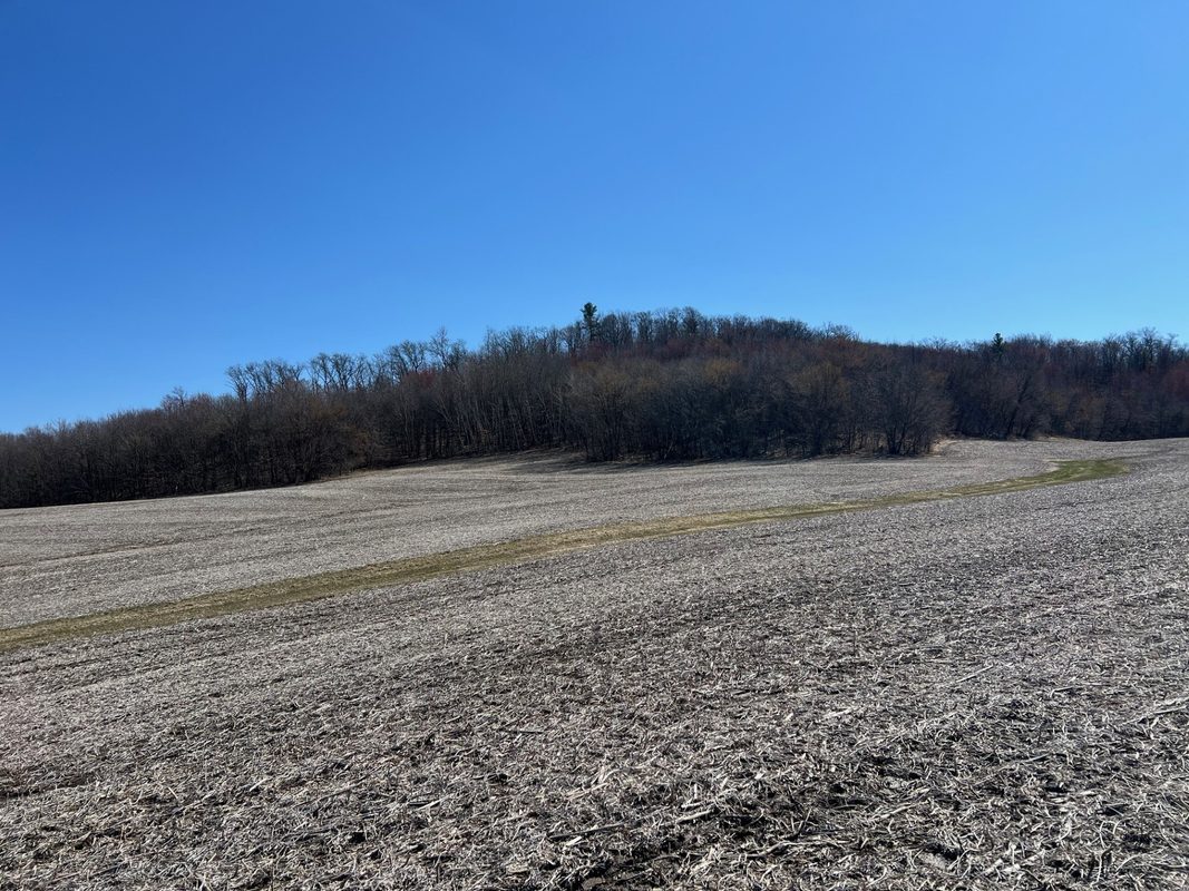 000 Pete Coulee Road, Taylor, WI — photo 4