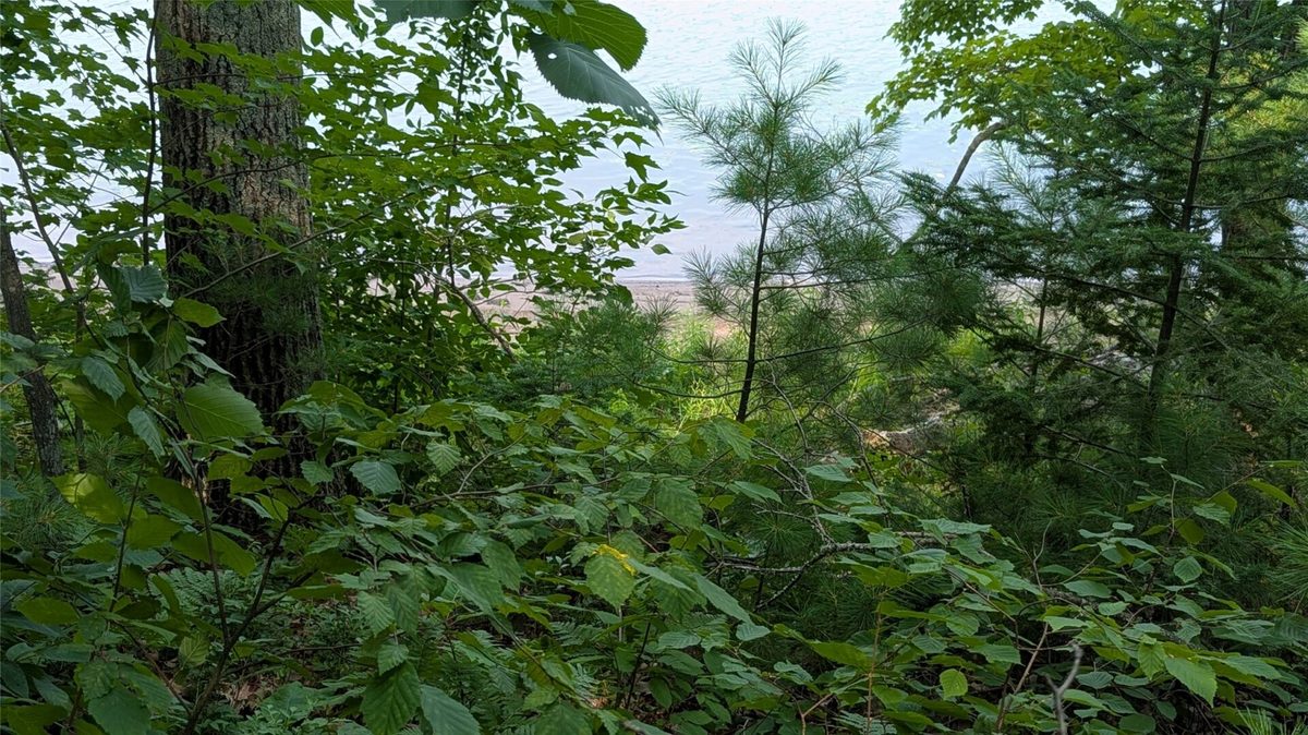 Lot 4 County Highway CC, Couderay WI 54828 - Land house for sale - MLS #1603366 - image20