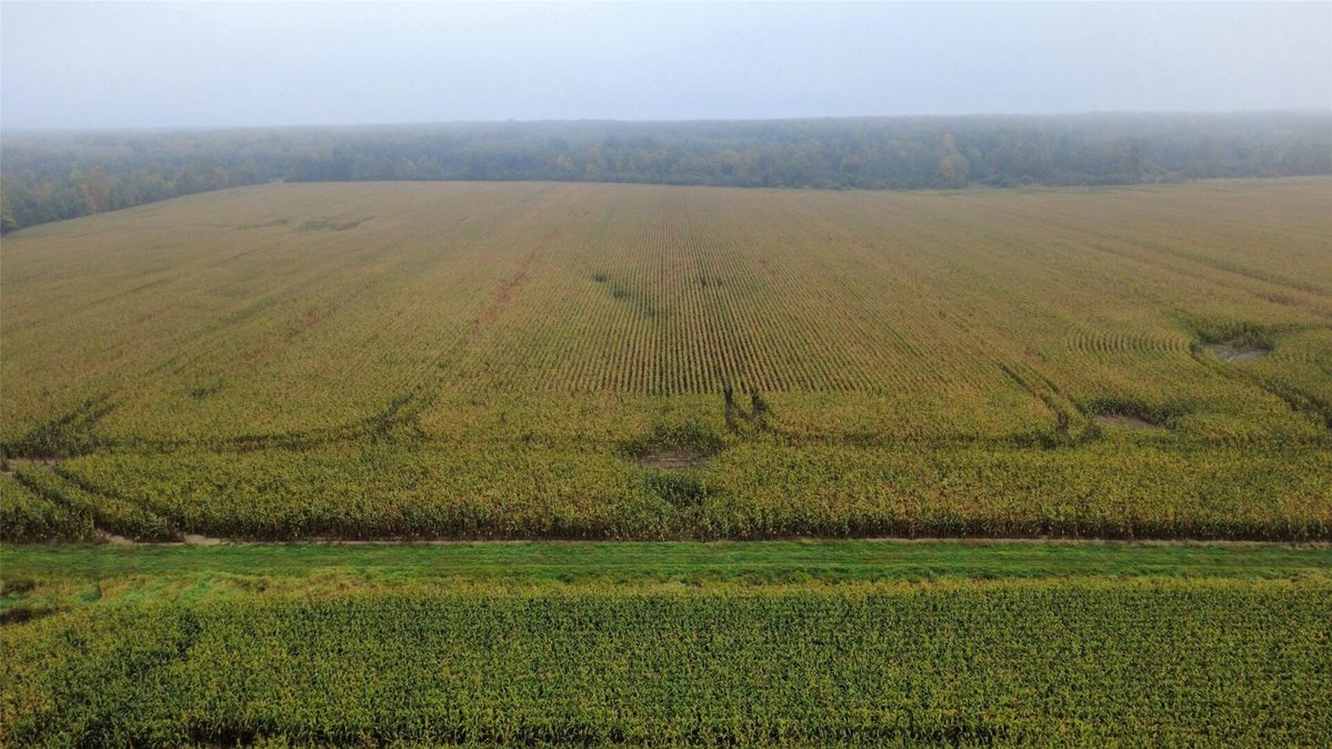000 Miller Avenue, Owen WI 54460 - Land house for sale - MLS #1605509 - image3
