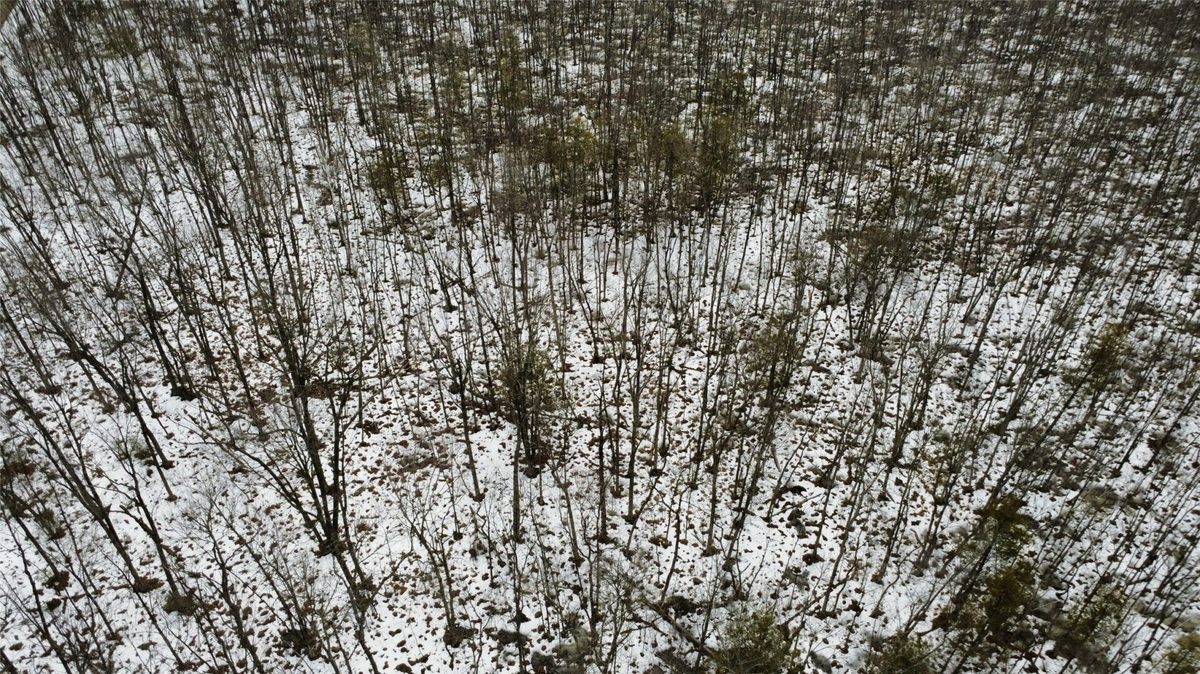 Land at OOO LAKE RD, Clintonville, WI 54929 — photo 23