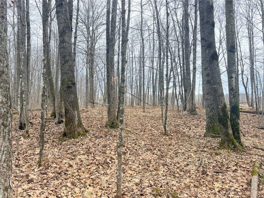 Land at Lot 3 Hwy X, Glen Flora, WI 54526 — photo 1