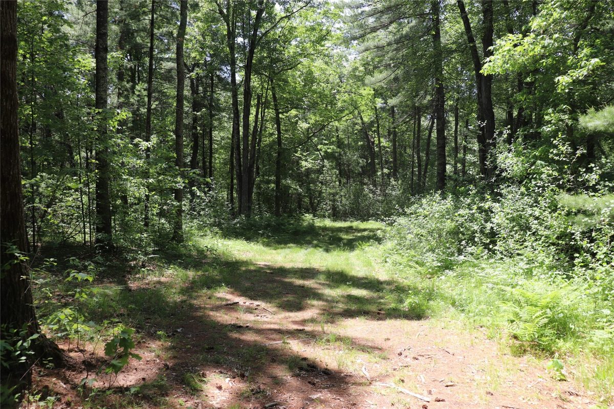 N7280 Waters Edge Road, Black River Falls WI 54615 - Residential house for sale - MLS #1601969 - image33