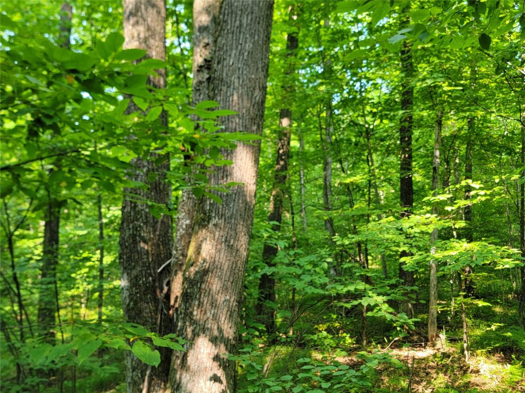 W4427 Spring Road, Prentice WI 54556 - Residential house for sale - MLS #1604416 - image25