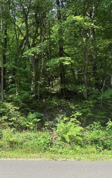 2.81 Acre N 90th Avenue