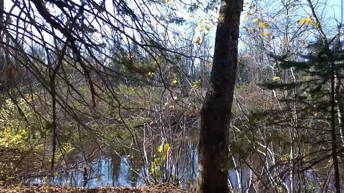 127XX State Highway 70, Couderay WI 54828 - Land house for sale - MLS #1606290 - image7