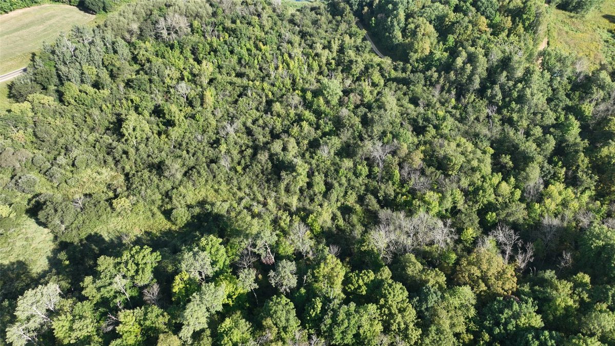 XX County Rd O, Boyceville WI 54725 - Land house for sale - MLS #1604881 - image9