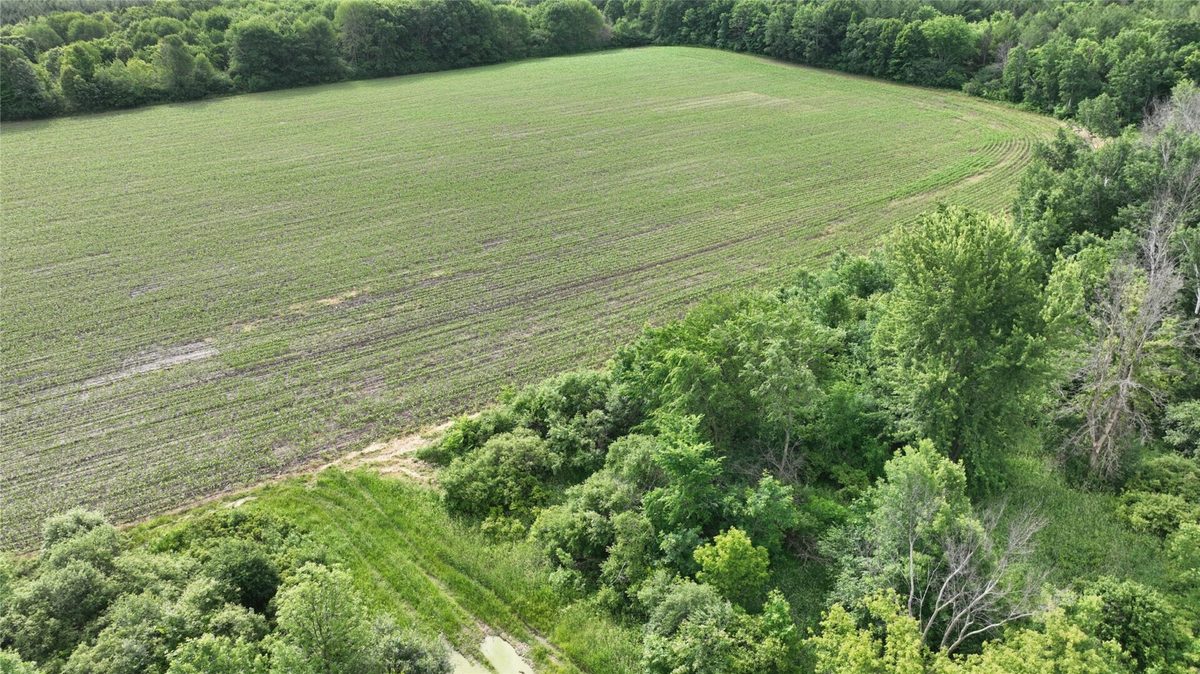 XX County Road BB, Baldwin WI 54002 - Land house for sale - MLS #1602567 - image27