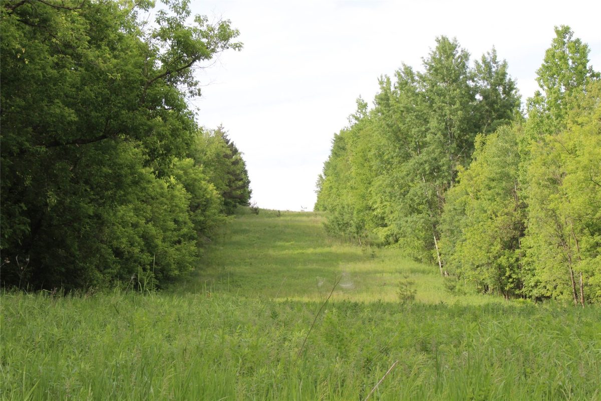 , Humbird WI 54746 - Residential house for sale - MLS #1602650 - image10