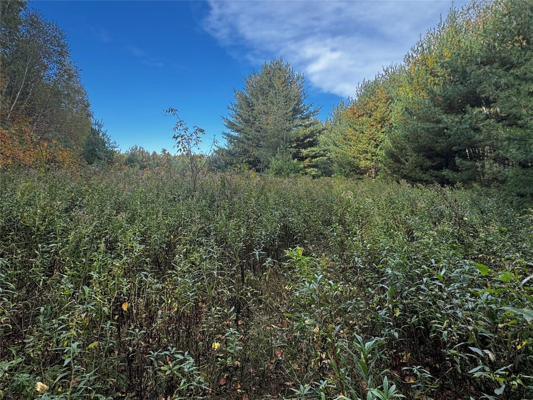 3461 56th, Frederic WI 54837 - Land house for sale - MLS #1605729 - image23