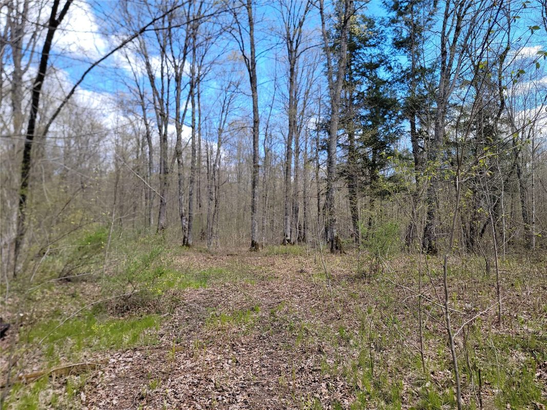 3598N Old J Road, Winter WI 54896 - Residential house for sale - MLS #1601670 - image20