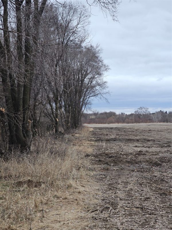 XXX 994th Avenue Boyceville WI 54725 — photo 3
