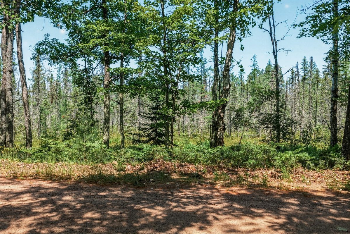 9292 Duncan Point Road, Hayward WI 54843 - Land house for sale - MLS #1602848 - image27