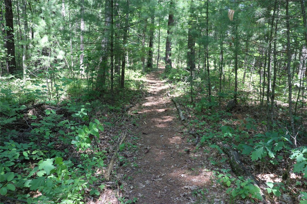 N7280 Waters Edge Road, Black River Falls WI 54615 - Residential house for sale - MLS #1601969 - image47