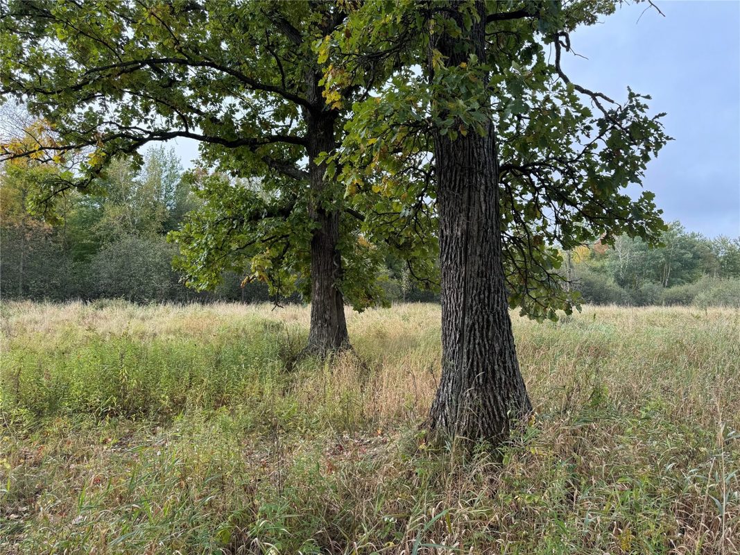 000 Miller Avenue, Owen WI 54460 - Land house for sale - MLS #1605509 - image16