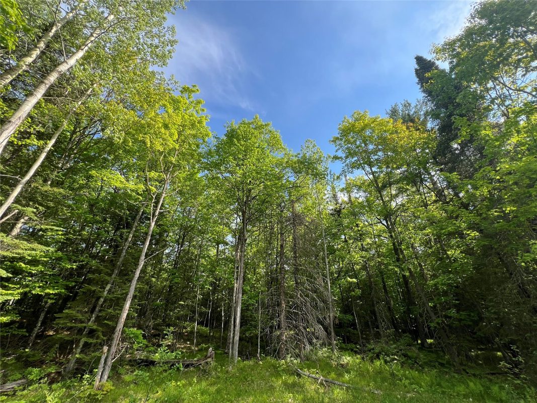 7151 County Road A, Solon Springs WI 54873 - Land house for sale - MLS #1602028 - image9