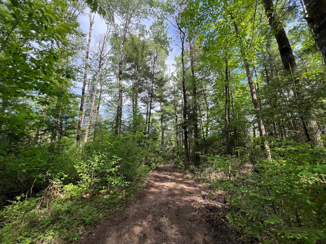 Lot 1 Smith Road, Couderay WI 54828 - Land house for sale - MLS #1601877 - image26