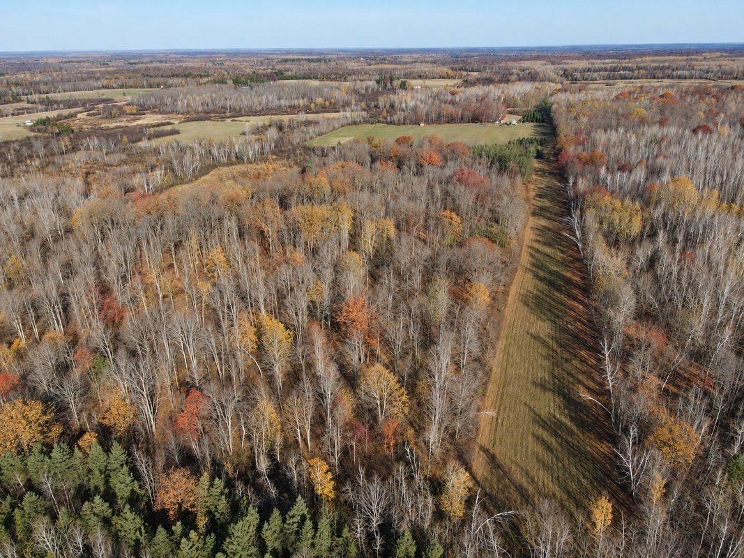 TBD Fedyn Road, Ladysmith WI 54848 - Land house for sale - MLS #1606244 - image7