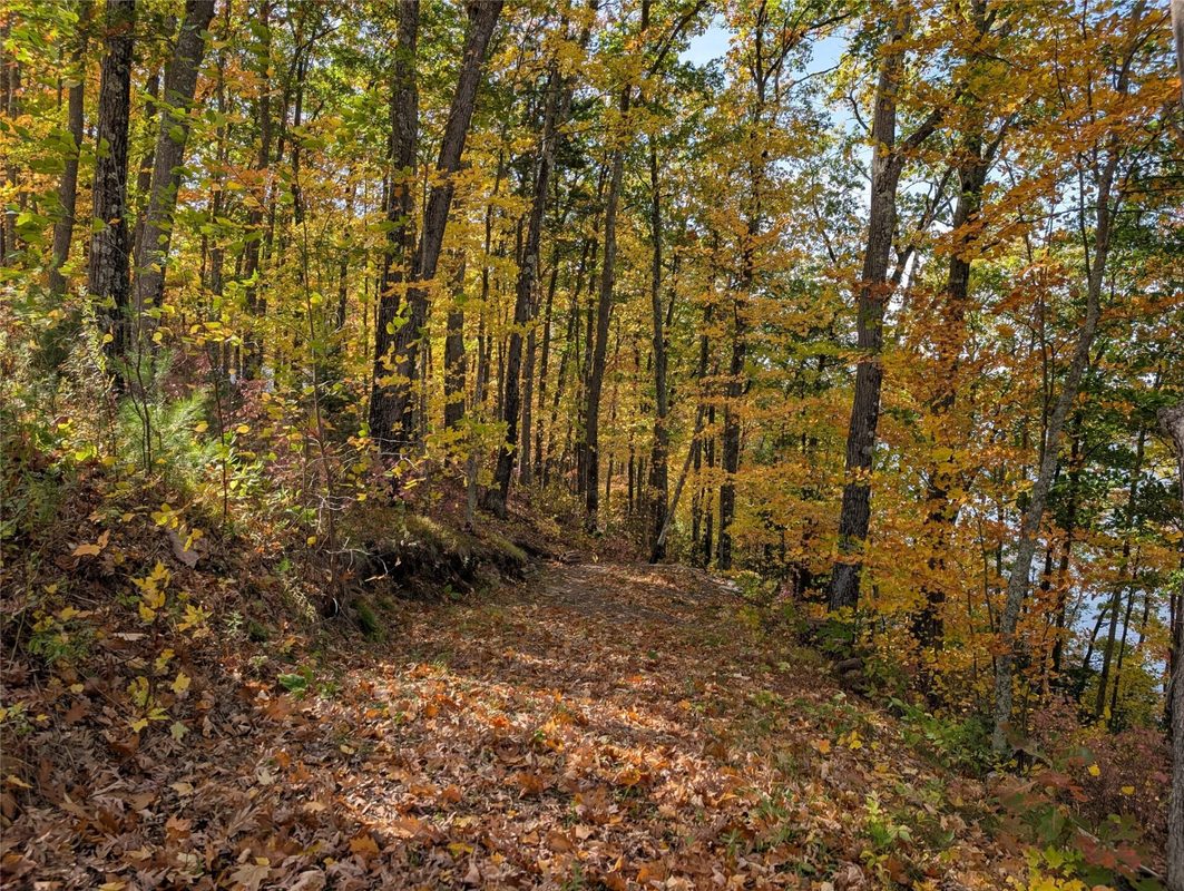 9703 Thunderbird Road, Hayward WI 54843 - Land house for sale - MLS #1605873 - image8