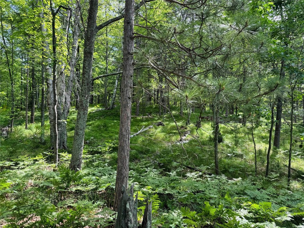 11149 Merganser Lane, Hayward WI 54843 - Land house for sale - MLS #1604672 - image40