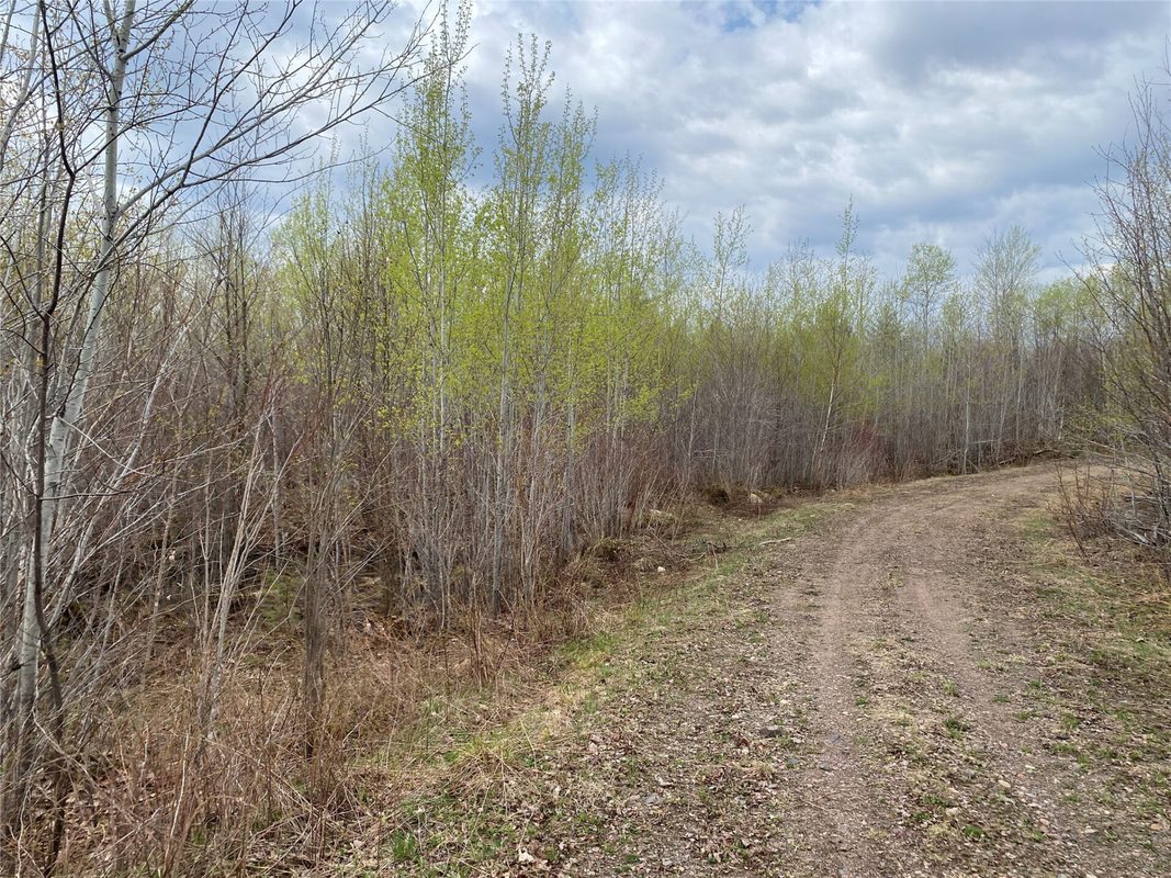 Near Wilson Lake Road Phillips WI 54555 — photo 5