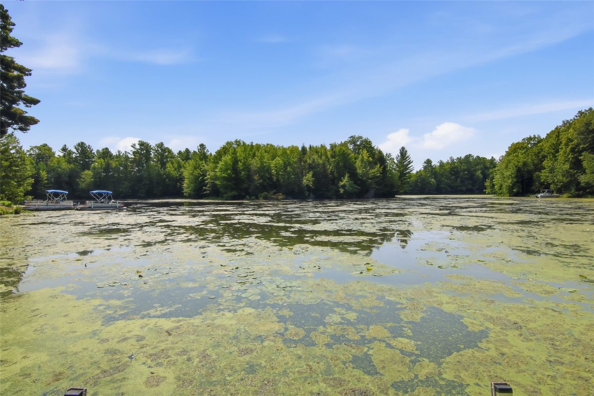 36299 145th Avenue, Stanley WI 54768 - Residential house for sale - MLS #1603629 - image46