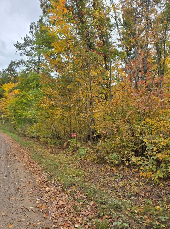 16119 Henks Road, Hayward WI 54843 - Land house for sale - MLS #1605555 - image9