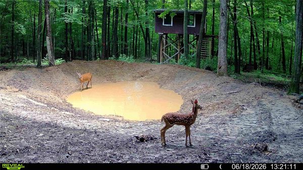 XX County Road Q, Downing WI 54734 - Land house for sale - MLS #1602322 - image1