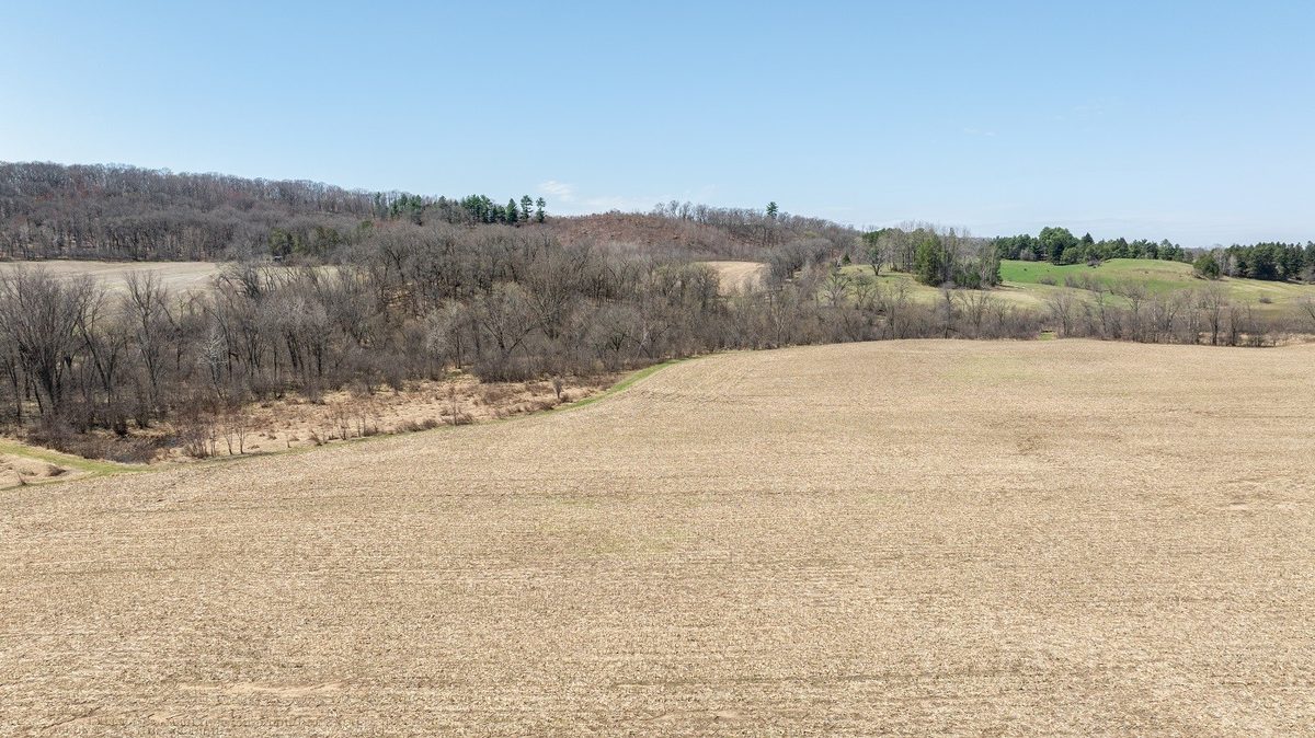 0 County Road S Blair WI 54616 — photo 14