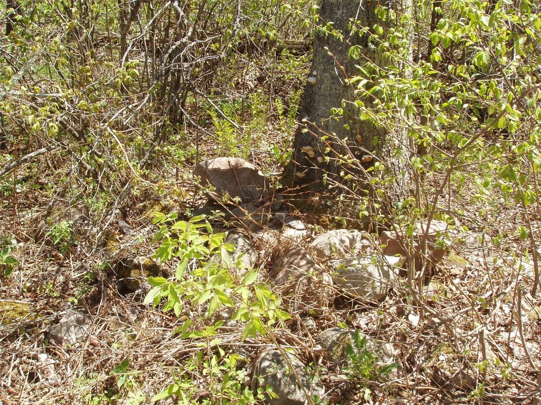 120 +/- Acres Off County Highway N, Glidden WI 54527 - Land house for sale - MLS #1601094 - image18
