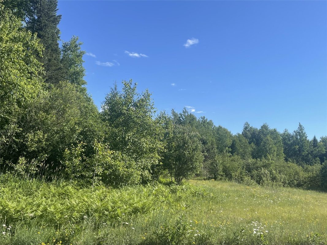 39+/- A on County Highway E, Iron Belt WI 54536 - Land house for sale - MLS #1602959 - image3