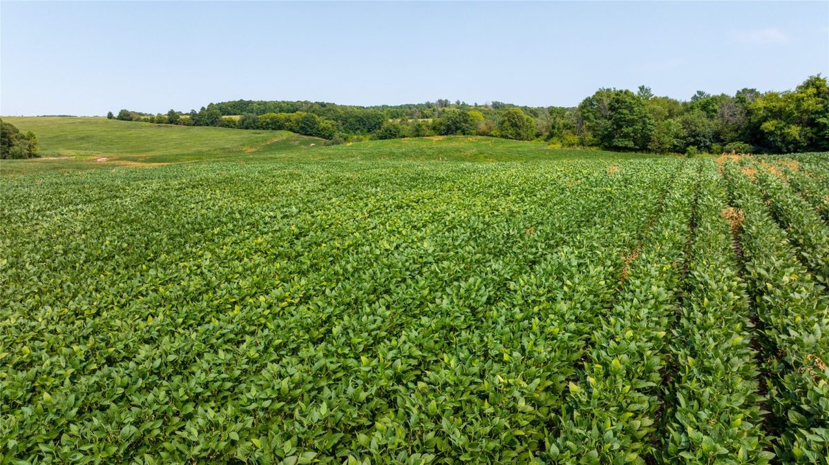 XXXX 190th Street, Centuria WI 54824 - Land house for sale - MLS #1605124 - image6