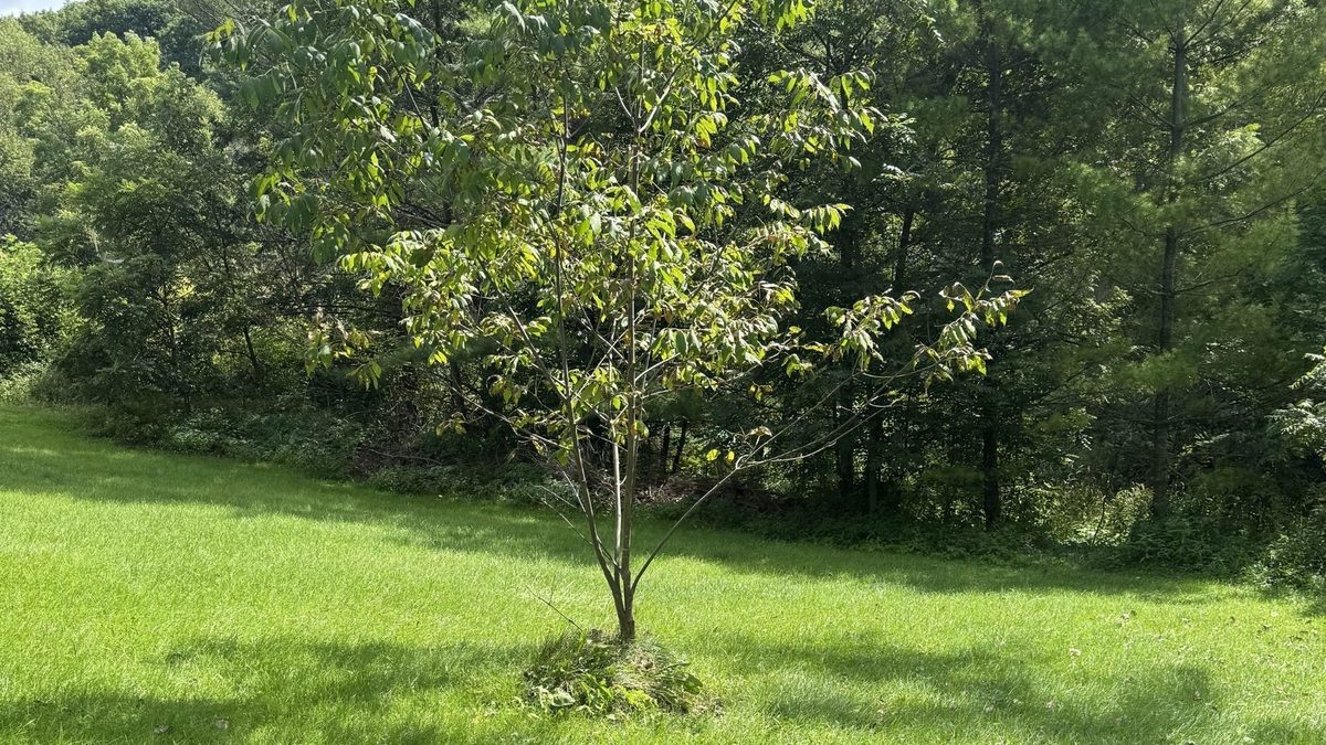 E4072 440th Avenue, Menomonie WI 54751 - Residential house for sale - MLS #1604712 - image46