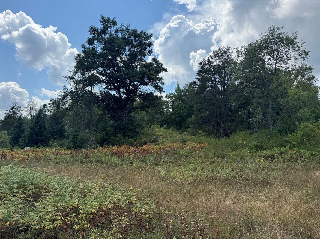 900 County Road A, Tomahawk WI 54487 - Land house for sale - MLS #1604619 - image21