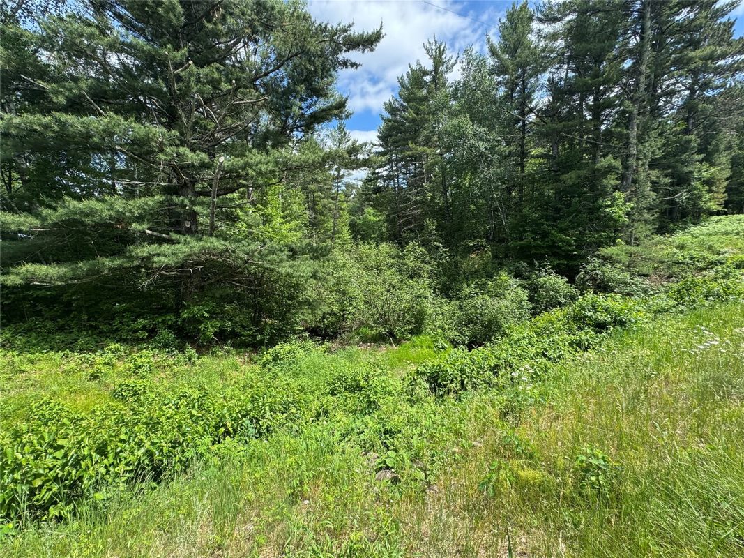 N 6398 Fred Tripp Road, Springbrook WI 54875 - Land house for sale - MLS #1602077 - image3