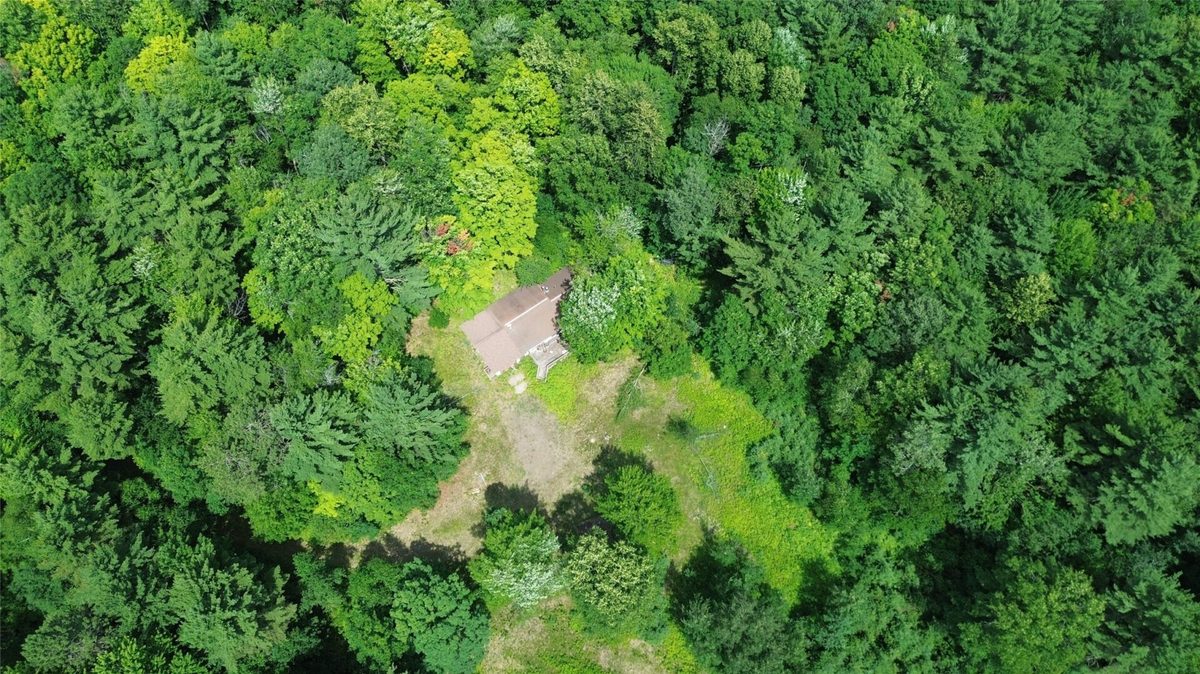 13743W State Highway 77, Hayward WI 54843 - Land house for sale - MLS #1603311 - image7