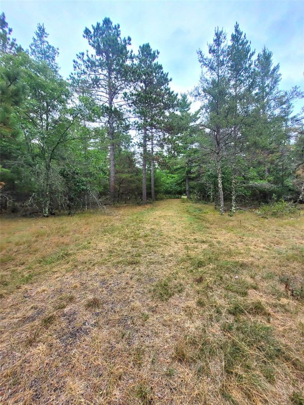 0 Blueberry Rd, Gordon WI 54838 - Land house for sale - MLS #1604990 - image31