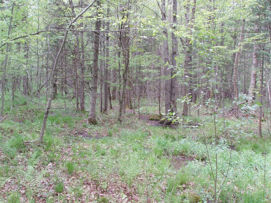 W9002 Moonshine Alley, Catawba WI 54514 - Residential house for sale - MLS #1601811 - image9