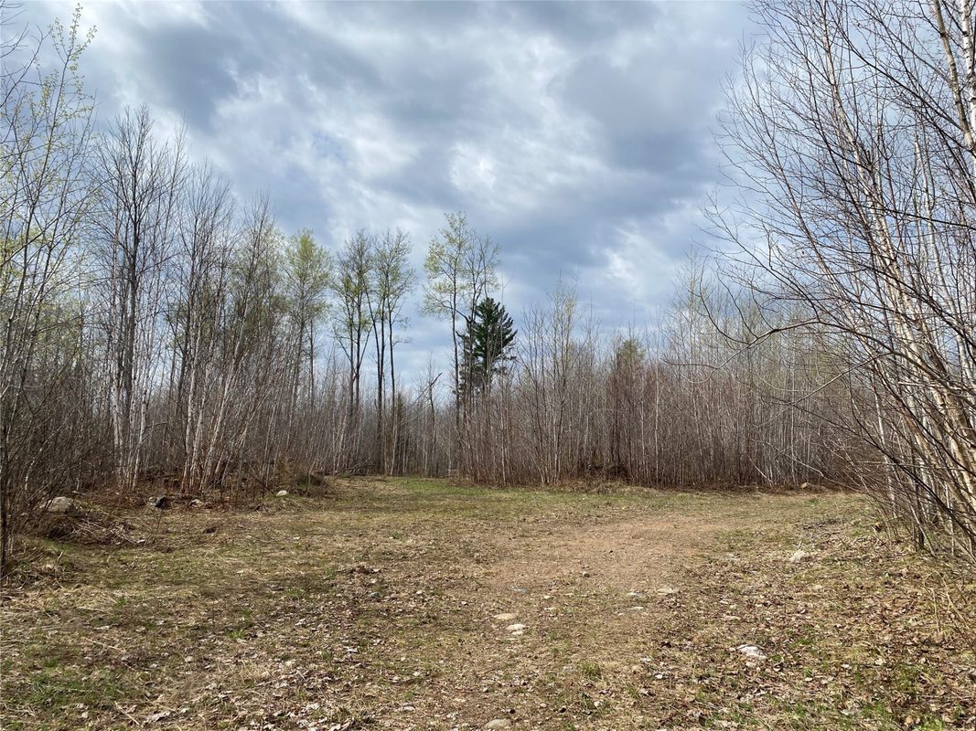 Near Wilson Lake Road Phillips WI 54555 — photo 4