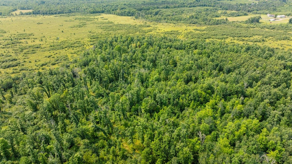 0 28th Street, Chetek WI 54728 - Land house for sale - MLS #1604329 - image24
