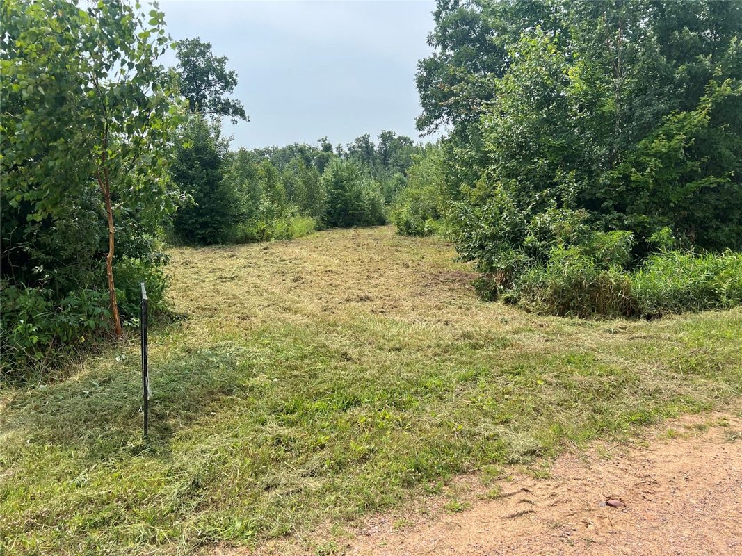 TBD North Center Road, Fairchild WI 54741 - Land house for sale - MLS #1594531 - image2
